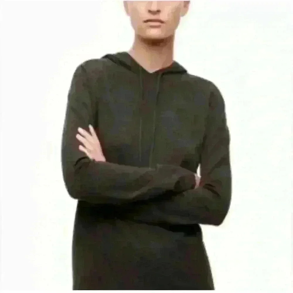 ARITZIA BABATON  GINSBURG HOODIE LIGHT GREY SMALL